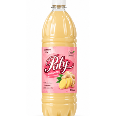 Jus de Gingembre PALY 1L
