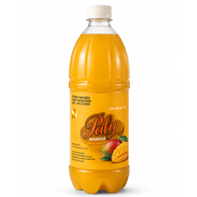Jus de Mangue PALY 1L